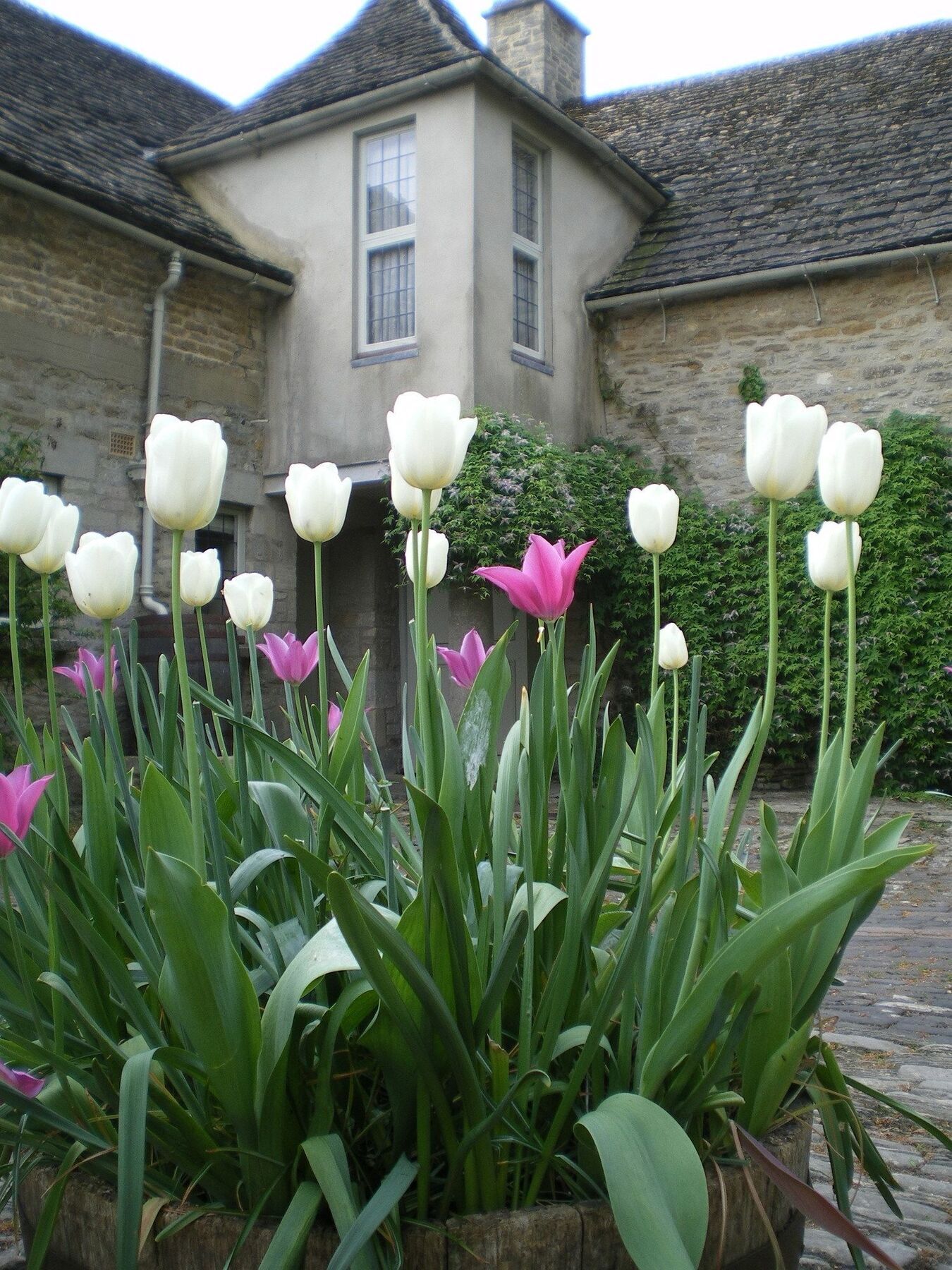 Barnsley House Hotell Ampney Crucis Exteriör bild